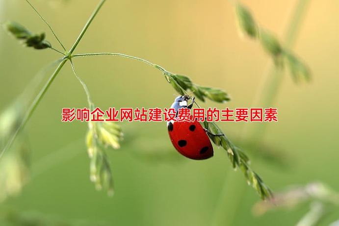 竞价托管公司北京竞价竞价推广_专业竞价托管服务,高效